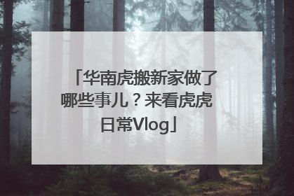 华南虎搬新家做了哪些事儿？来看虎虎日常Vlog