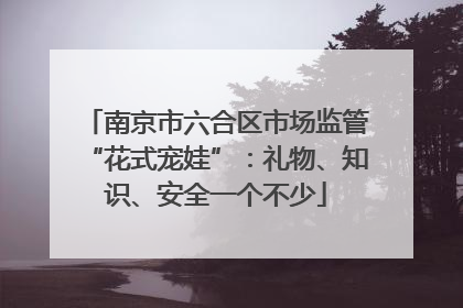 南京市六合区市场监管“花式宠娃”：礼物、知识、安全一个不少