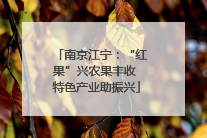 南京江宁：“红果”兴农果丰收 特色产业助振兴