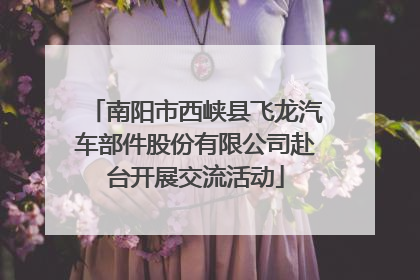 南阳市西峡县飞龙汽车部件股份有限公司赴台开展交流活动