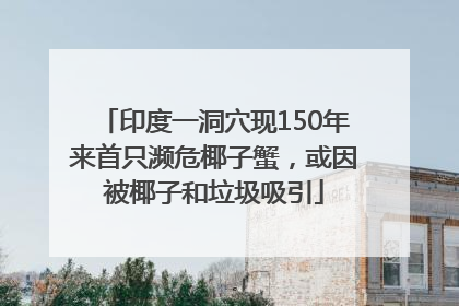印度一洞穴现150年来首只濒危椰子蟹，或因被椰子和垃圾吸引