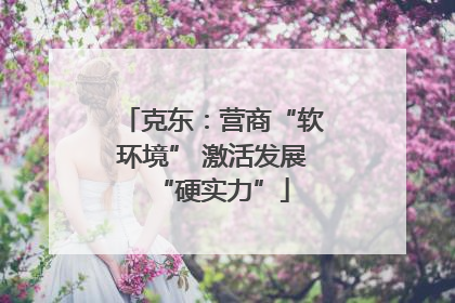 克东：营商“软环境” 激活发展“硬实力”