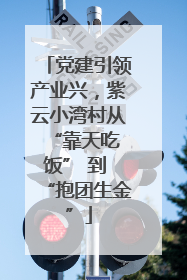 党建引领产业兴，紫云小湾村从 “靠天吃饭” 到 “抱团生金”