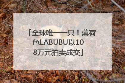 全球唯一一只！薄荷色LABUBU以108万元拍卖成交