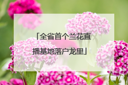 全省首个兰花直播基地落户龙里