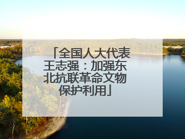 全国人大代表王志强：加强东北抗联革命文物保护利用
