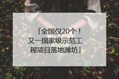 全国仅20个！又一国家级示范工程项目落地潍坊