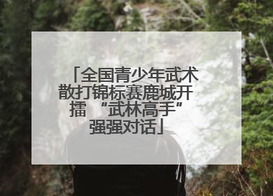 全国青少年武术散打锦标赛鹿城开擂 “武林高手”强强对话