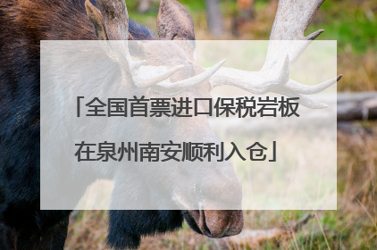 全国首票进口保税岩板在泉州南安顺利入仓