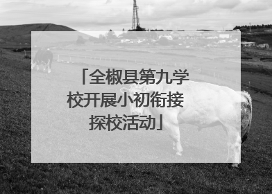 全椒县第九学校开展小初衔接探校活动
