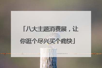 八大主题消费展，让你逛个尽兴买个痛快