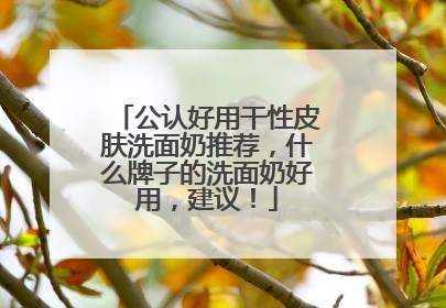 公认好用干性皮肤洗面奶推荐，什么牌子的洗面奶好用，建议！