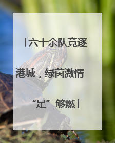 六十余队竞逐港城，绿茵激情“足”够燃