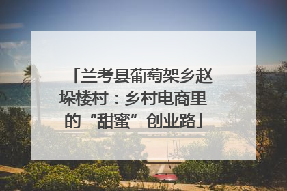 兰考县葡萄架乡赵垛楼村：乡村电商里的“甜蜜”创业路