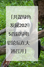 共谋绿色发展2025首届绿电铝论坛在大通召开
