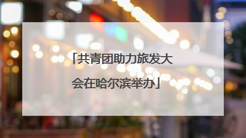 共青团助力旅发大会在哈尔滨举办
