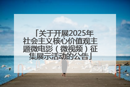 关于开展2025年社会主义核心价值观主题微电影（微视频）征集展示活动的公告