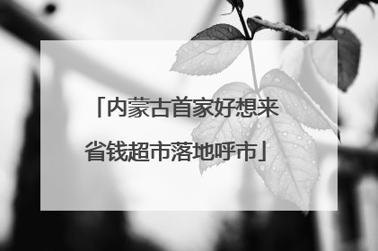 内蒙古首家好想来省钱超市落地呼市