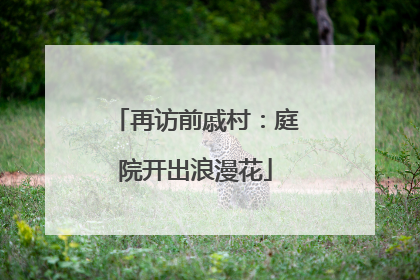 再访前戚村：庭院开出浪漫花