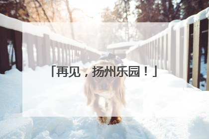 再见，扬州乐园！