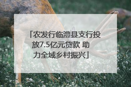 农发行临澧县支行投放7.5亿元贷款 助力全域乡村振兴