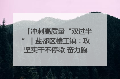 冲刺高质量“双过半”｜盐都区楼王镇：攻坚实干不停歇 奋力跑赢“上半场”