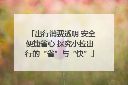 出行消费透明 安全便捷省心 探究小拉出行的“省”与“快”