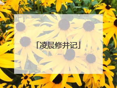 凌晨修井记