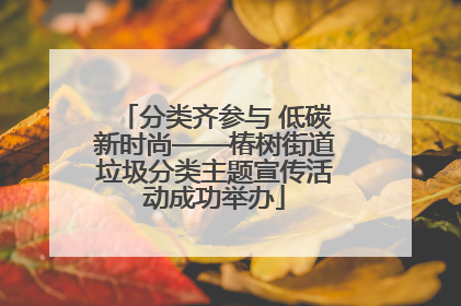 分类齐参与 低碳新时尚——椿树街道垃圾分类主题宣传活动成功举办