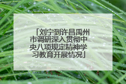 刘宁到许昌禹州市调研深入贯彻中央八项规定精神学习教育开展情况
