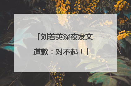 刘若英深夜发文道歉：对不起！
