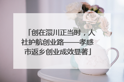 创在澴川正当时，人社护航创业路——孝感市返乡创业成效显著