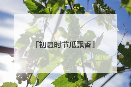 初夏时节瓜飘香