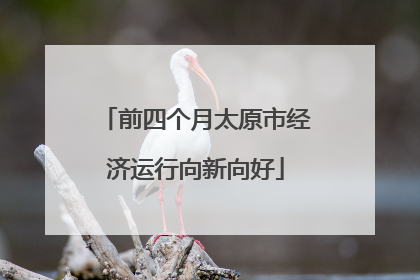 前四个月太原市经济运行向新向好