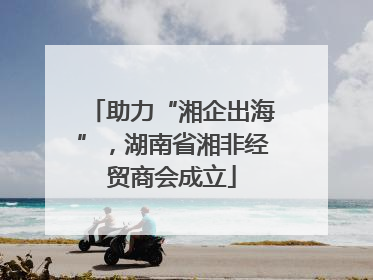 助力“湘企出海”，湖南省湘非经贸商会成立