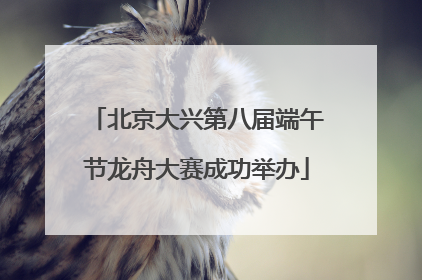 北京大兴第八届端午节龙舟大赛成功举办