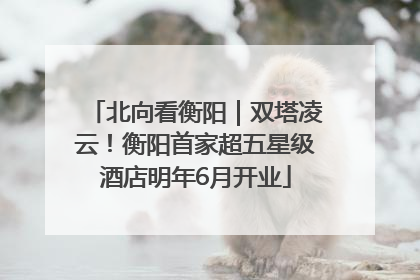 北向看衡阳｜双塔凌云！衡阳首家超五星级酒店明年6月开业