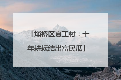 埇桥区夏王村：十年耕耘结出富民瓜