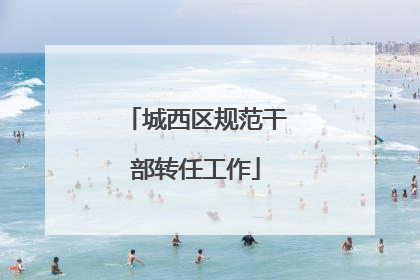 城西区规范干部转任工作