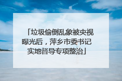 垃圾偷倒乱象被央视曝光后，萍乡市委书记实地督导专项整治