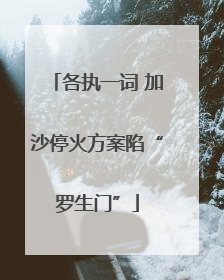 各执一词 加沙停火方案陷“罗生门”