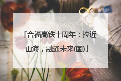 合福高铁十周年：拉近山海，融通未来(图)