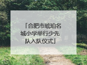 合肥市琥珀名城小学举行少先队入队仪式