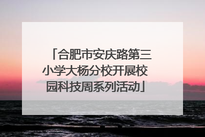 合肥市安庆路第三小学大杨分校开展校园科技周系列活动