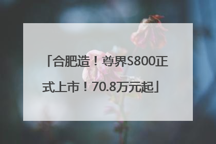 合肥造！尊界S800正式上市！70.8万元起