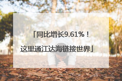 同比增长9.61%！这里通江达海链接世界