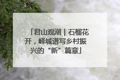 君山观潮｜石榴花开，峄城谱写乡村振兴的“新”篇章