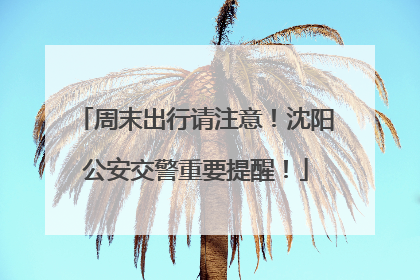 周末出行请注意！沈阳公安交警重要提醒！