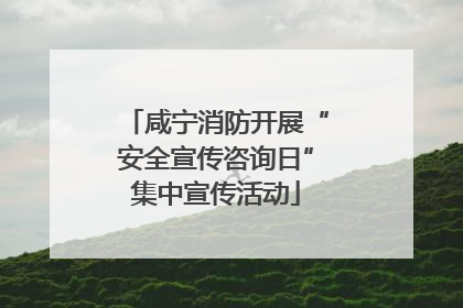 咸宁消防开展“安全宣传咨询日”集中宣传活动