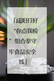 咸阳打好“你点我检”组合拳守牢食品安全线